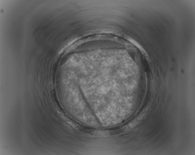 X0000087400977200705181328