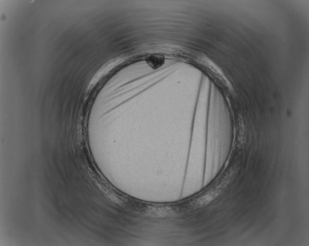 X0000087400978200705181328