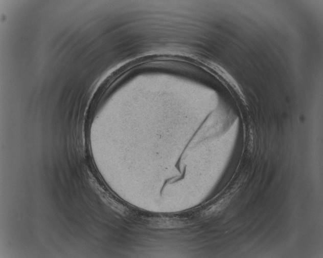 X0000087400980200705181328