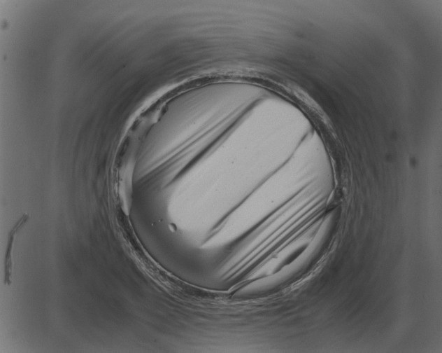 X0000087400981200705181328