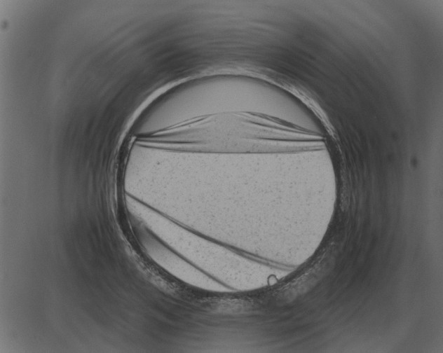 X0000087400984200705181328