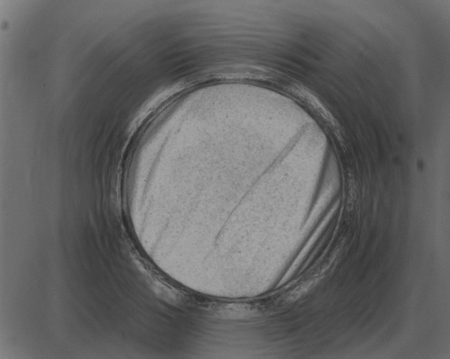 X0000087400986200705181328