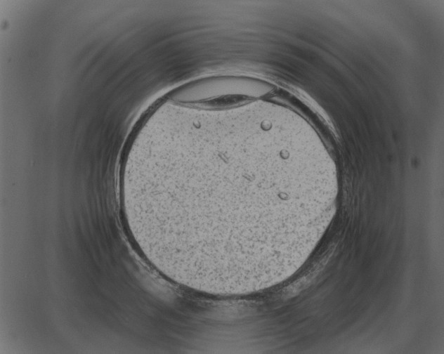 X0000087400988200705181328