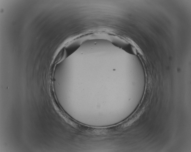 X0000087400989200705181328