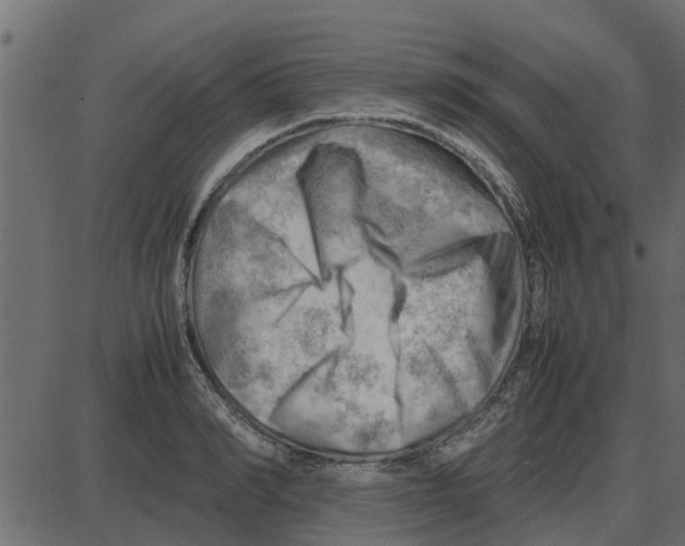 X0000087400990200705181328