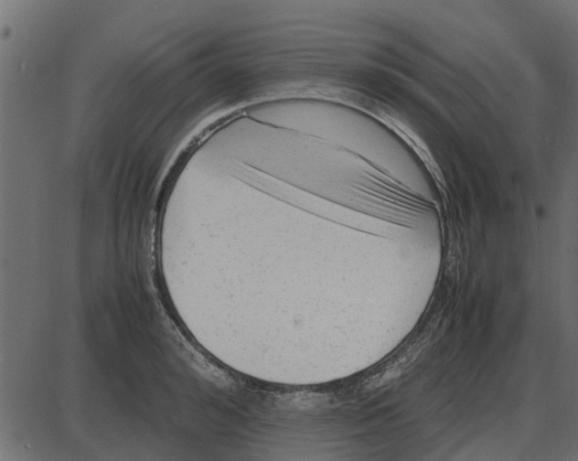 X0000087400992200705181328