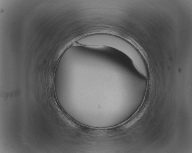 X0000087400993200705181328