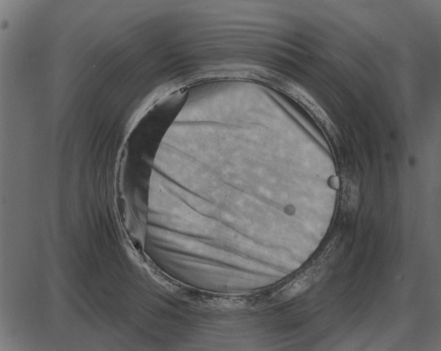 X0000087400994200705181328