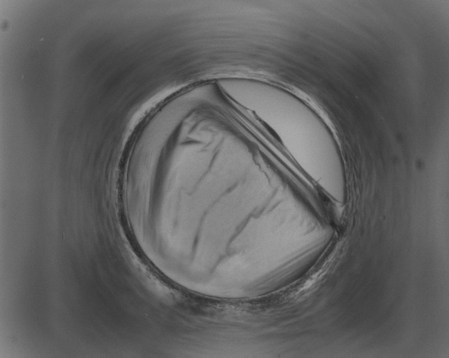 X0000087400995200705181328