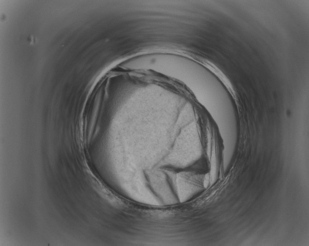 X0000087400996200705181328