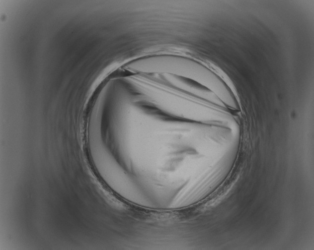 X0000087400997200705181328