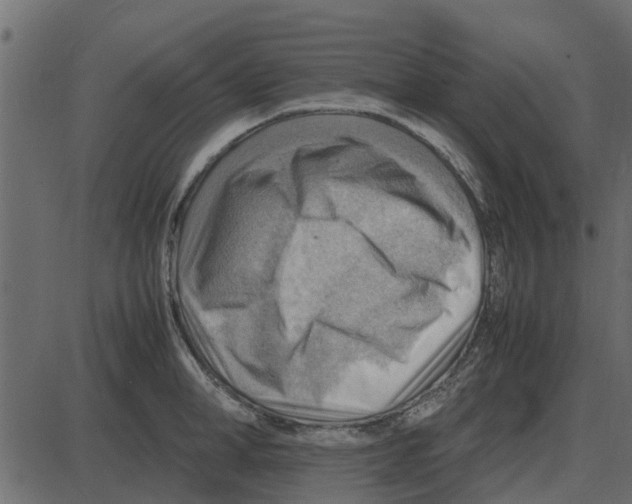 X0000087400998200705181328