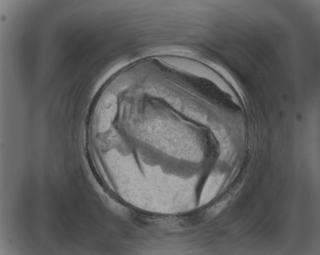 X0000087400999200705181328