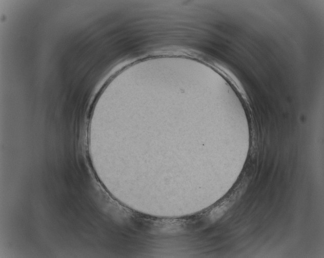 X0000087401000200705181328