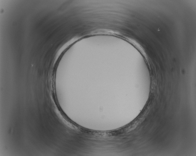 X0000087401003200705181328