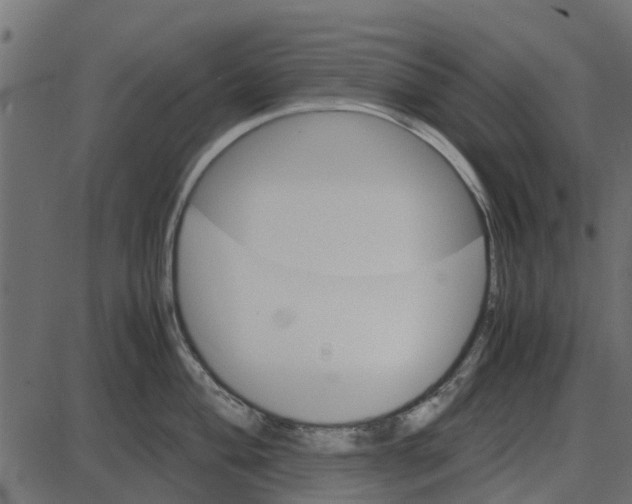 X0000087401004200705181328