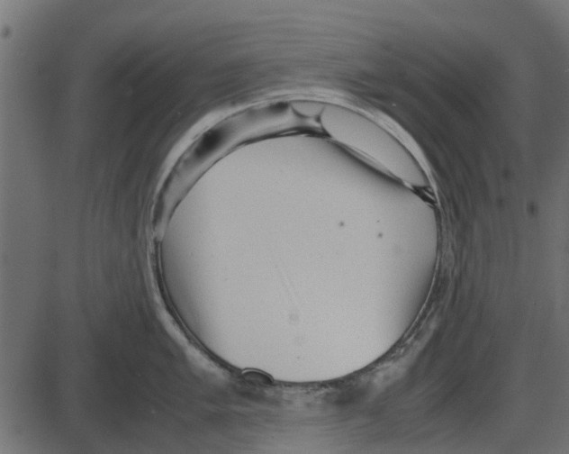 X0000087401005200705181328