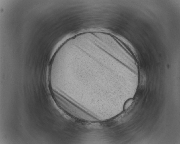 X0000087401006200705181328