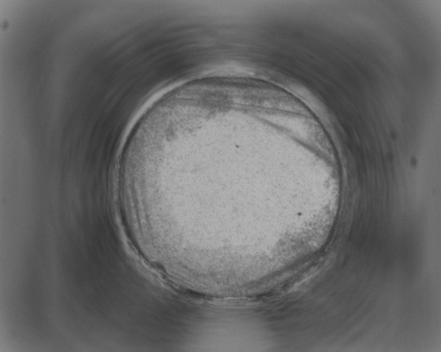 X0000087401008200705181327