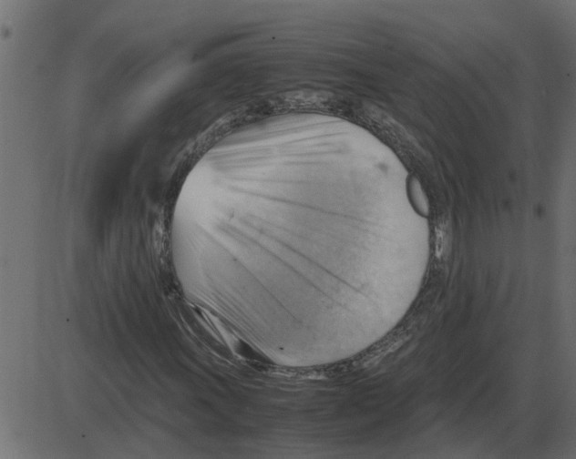 X0000087401011200705181327