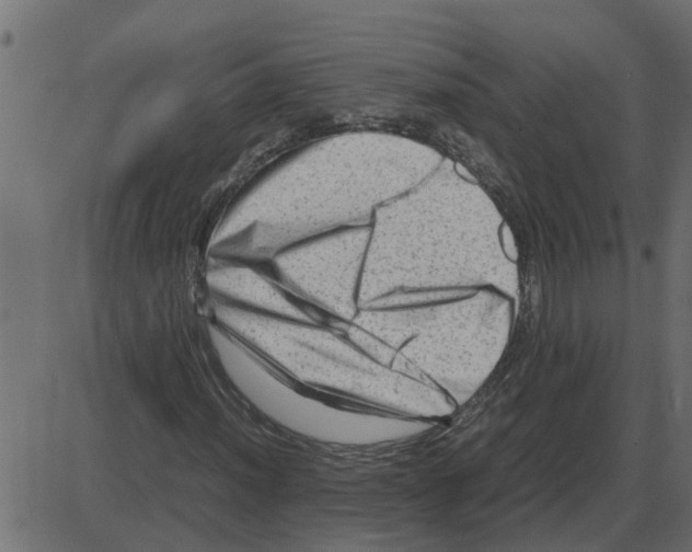 X0000087401012200705181327