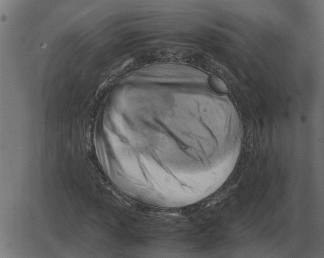 X0000087401013200705181327