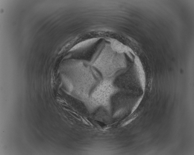 X0000087401014200705181327