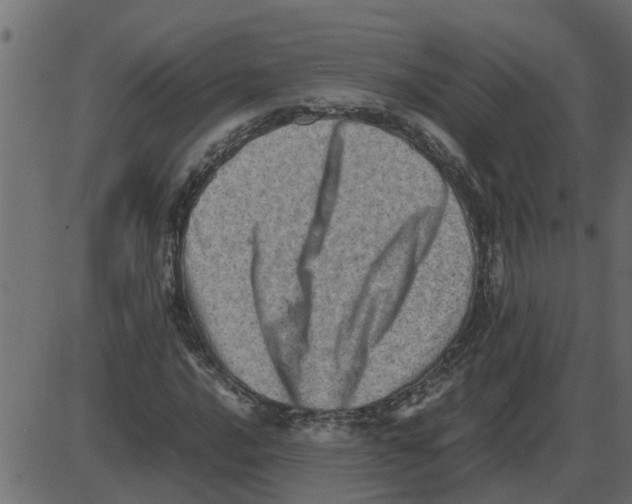 X0000087401016200705181327