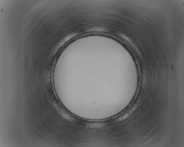 X0000087401017200705181327