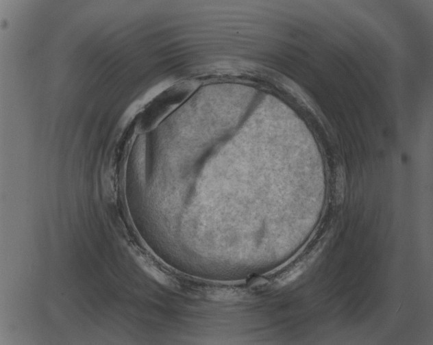 X0000087401018200705181327