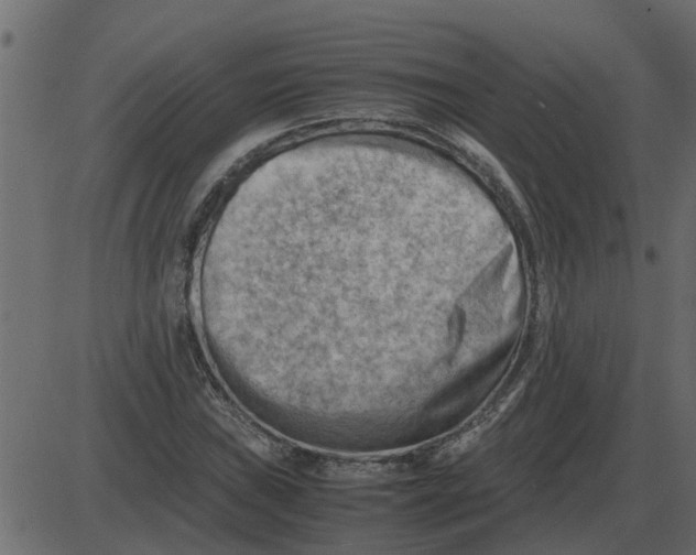 X0000087401019200705181327