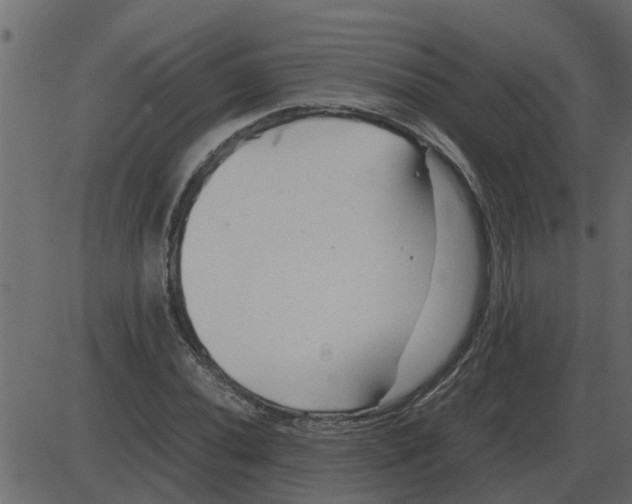 X0000087401020200705181327