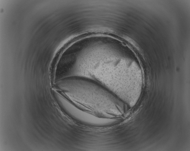 X0000087401022200705181327