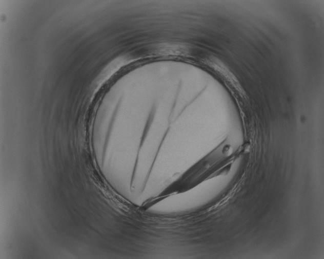 X0000087401023200705181327