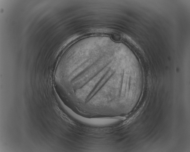 X0000087401025200705181327