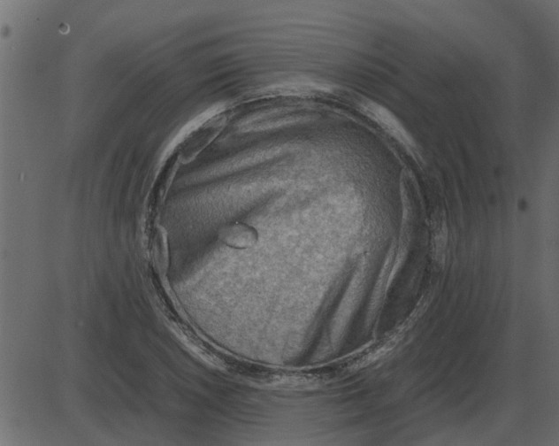 X0000087401026200705181327