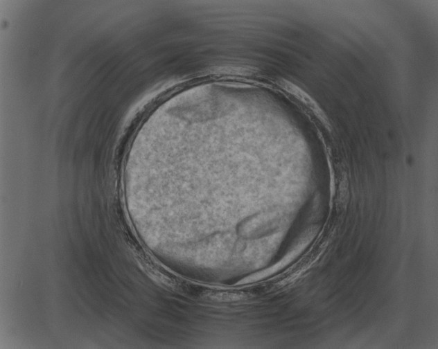 X0000087401027200705181327