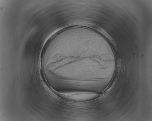 X0000087401028200705181327