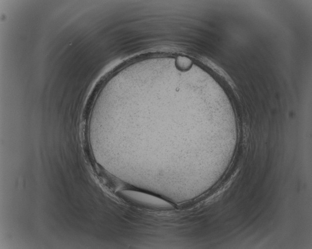 X0000087401029200705181327