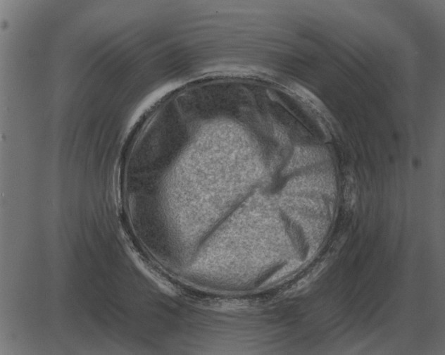 X0000087401030200705181327