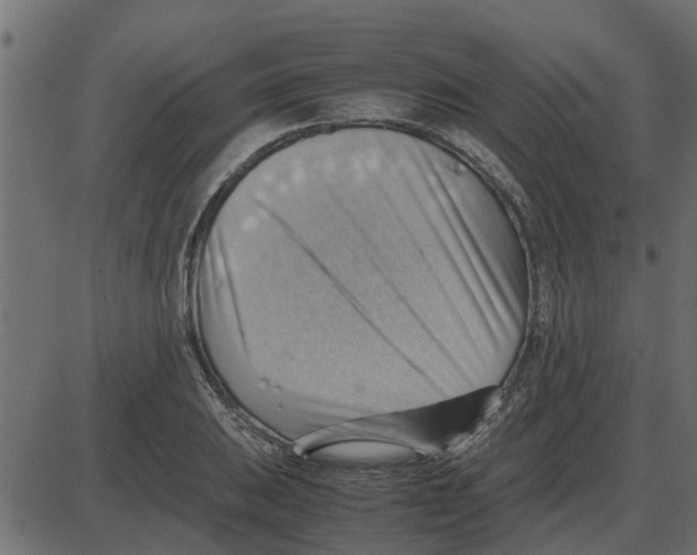 X0000087401031200705181327