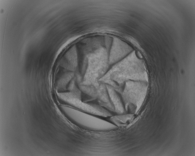 X0000087401032200705181327