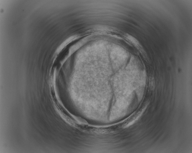 X0000087401034200705181327