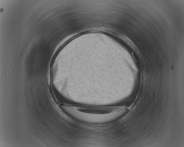 X0000087401036200705181327