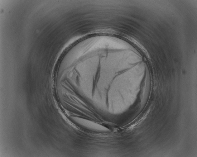 X0000087401037200705181327