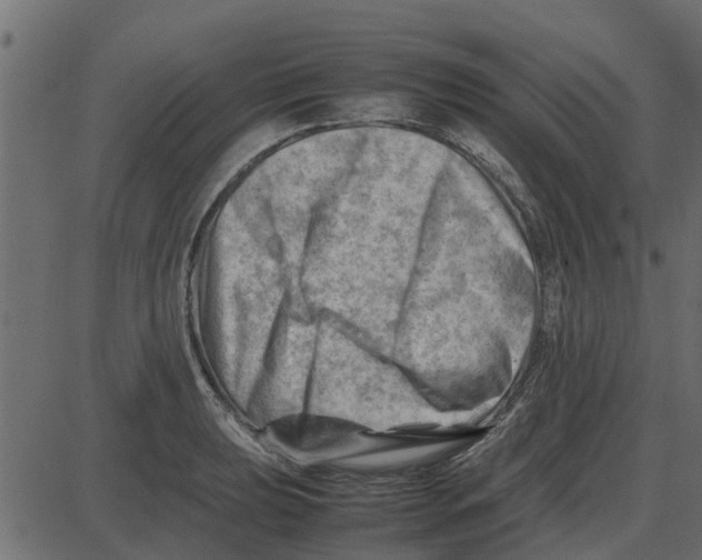 X0000087401039200705181327