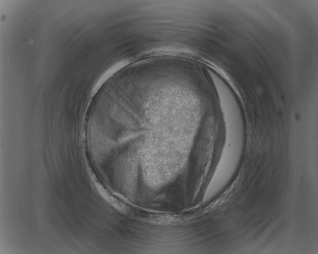 X0000087401042200705181327