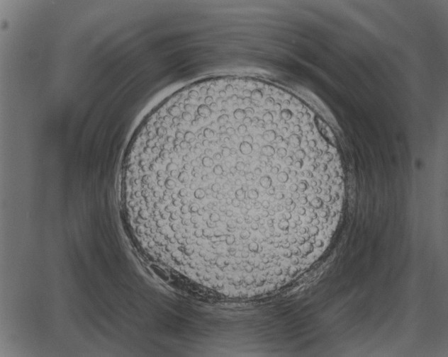 X0000087401044200705181327