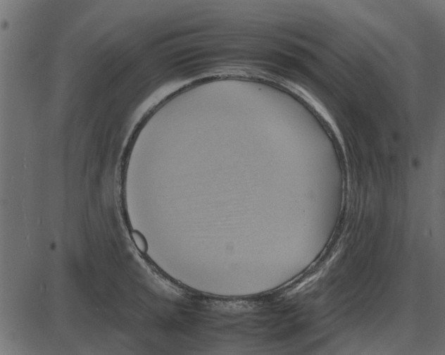 X0000087401045200705181327