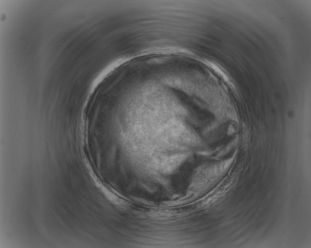 X0000087401046200705181327